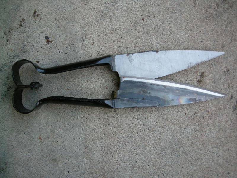 lot 52 image: Sheep Shears