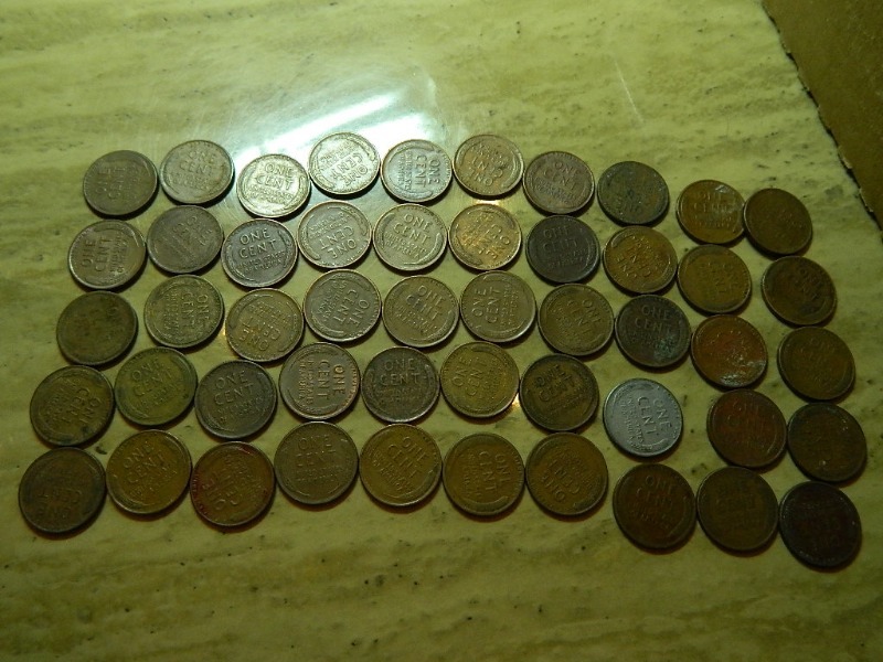 50 Wheat Pennies