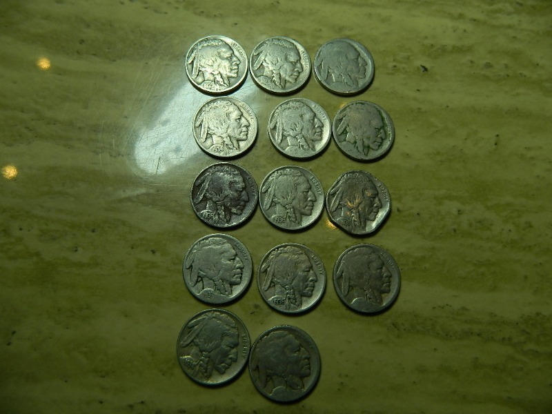 14 Buffalo Head Nickels