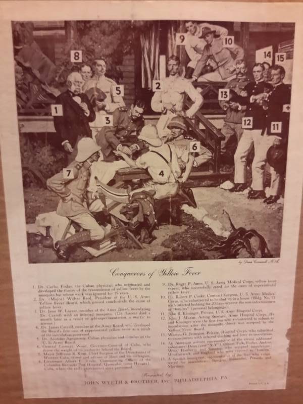 lot 84 image: The Conquerors of Yellow Feaver Picture