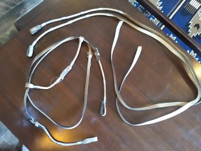 Leather Head Stall & Rein Set