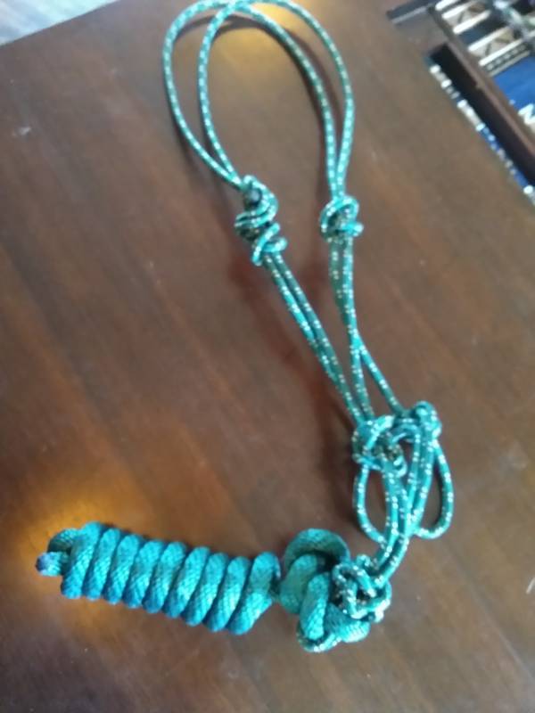 Training Halter
