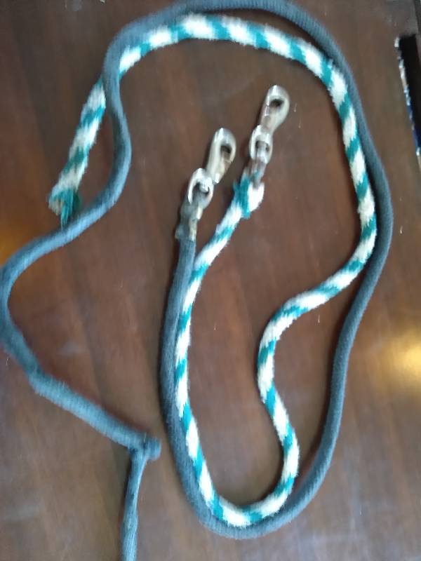 Two Lead Ropes