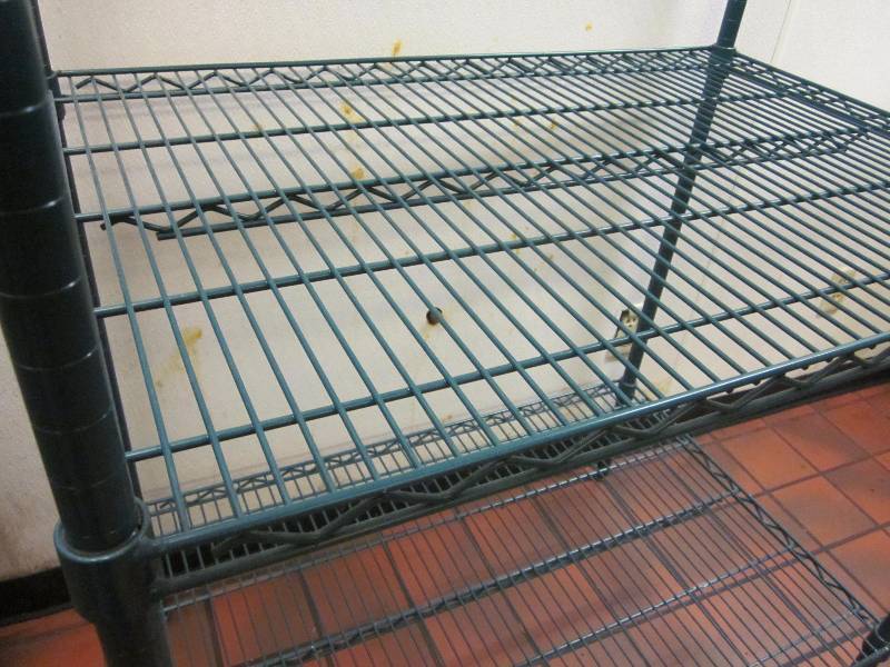 lot 251 image: Green Storage Shelf Unit