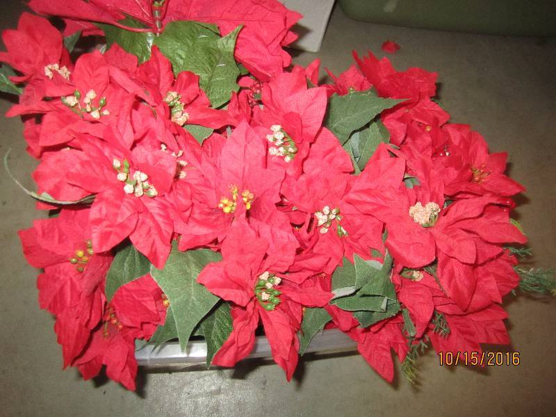 small bin of pointsettias...