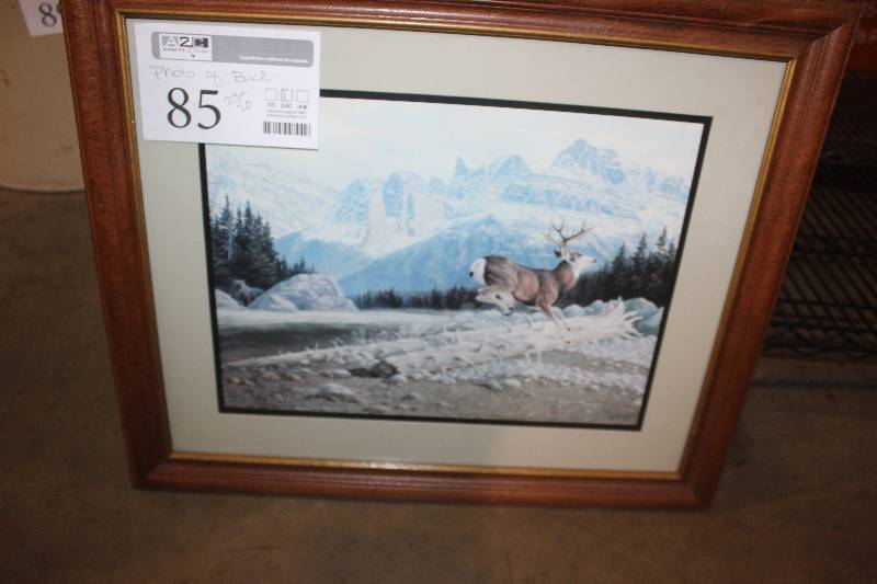 lot 85 image: Framed Photo of Buck, 23 x 20