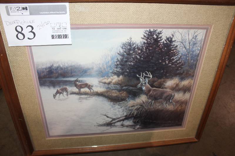 lot 83 image: Framed Photo of Deer, 24 x 20