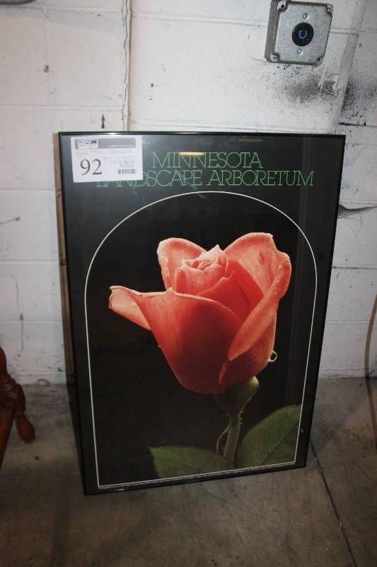 lot 92 image: Framed Photo of a Rose, 36 x 24 - MNLandscape Arboretum