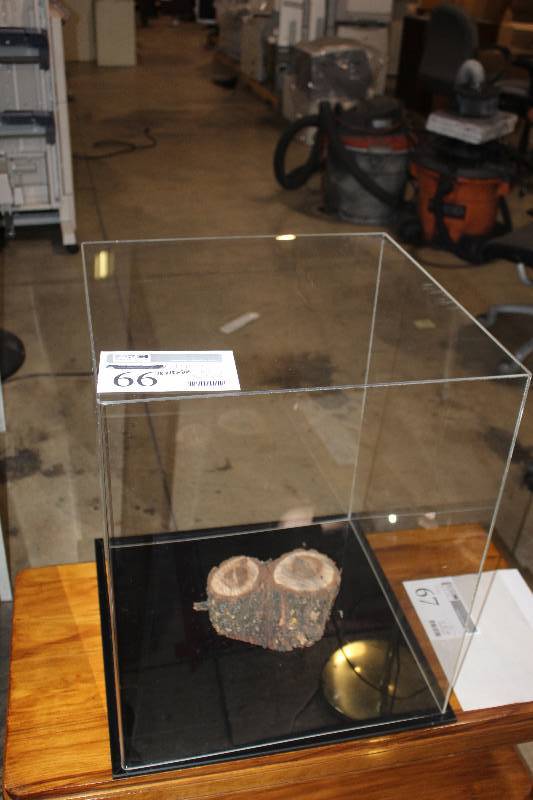 lot 66 image: Display Case, 18 x 18 x 22