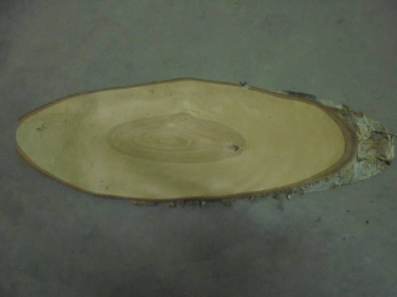 Cut Slab of Birch Wood, 12x39x1.5