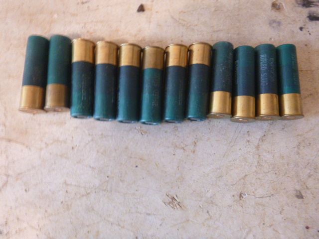lot 154 image: 12 16 Gauge Slugs