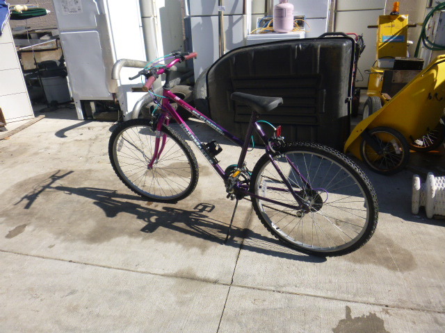 lot 208 image: Roadmaster Mt. Climber Bicycle