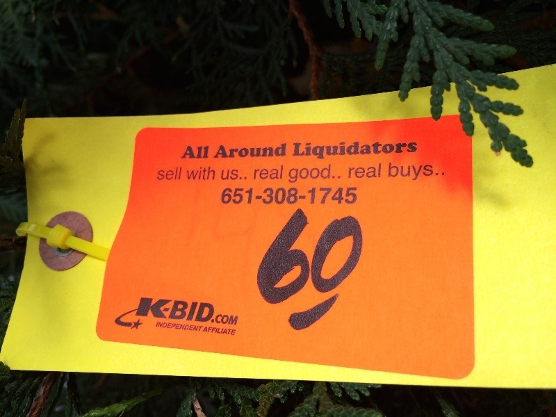Shrub 5ft