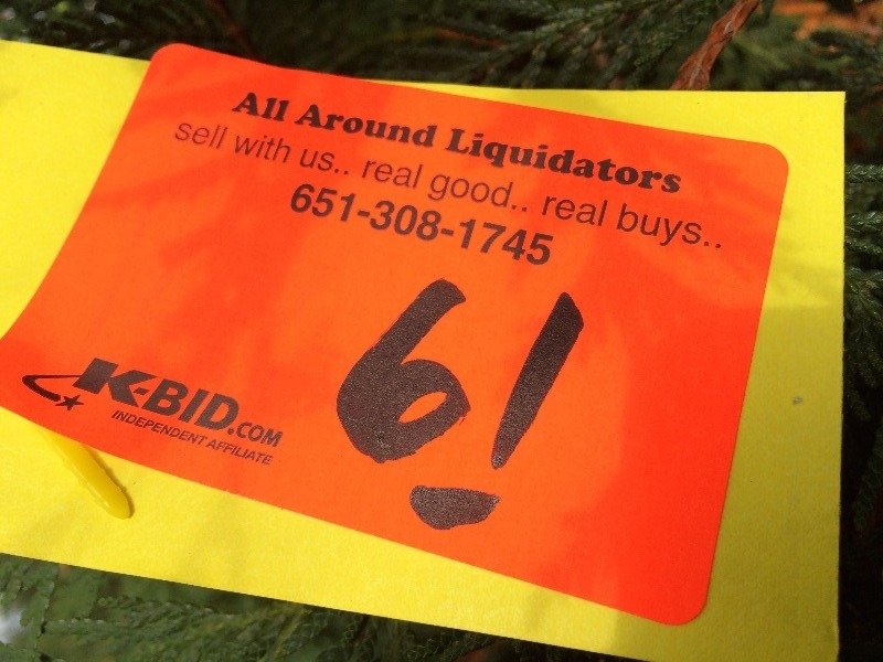 Shrub 5ft