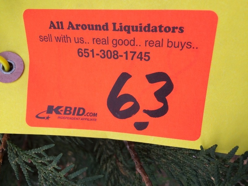 Shrub 5ft