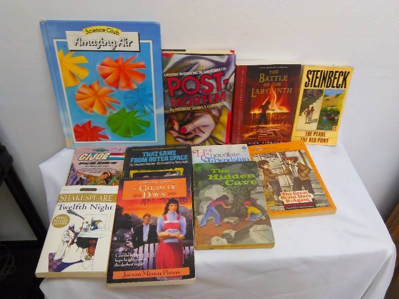 Lot of 11 Books for Pre-teen and teens