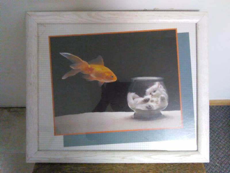 Cat fishbowl Picture, framed, 18.5� X 22.5�