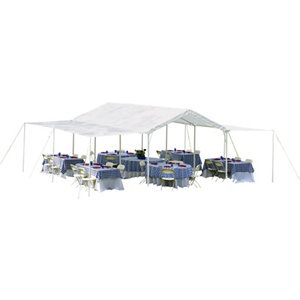 lot 9 image: ShelterLogic Max AP 10 x 20 3-in-1 Canopy System