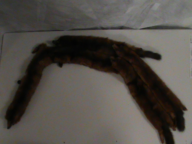 lot 102 image: Vintage Mink Stole
