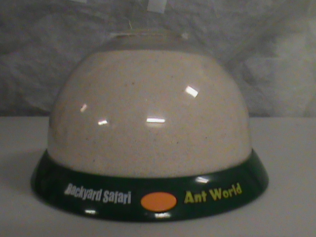 lot 161 image: Backyard Safari Ant World