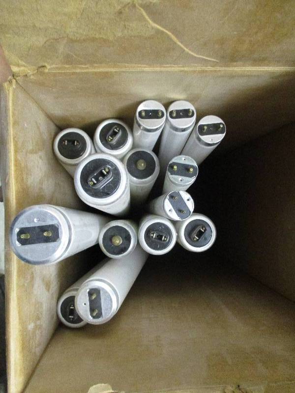 Assorted Fluorescent Bulbs