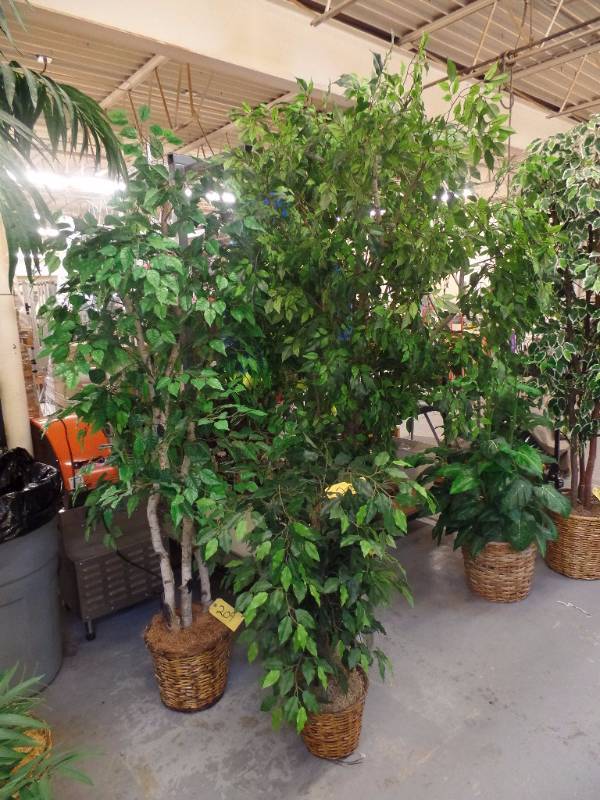 Artificial Greens