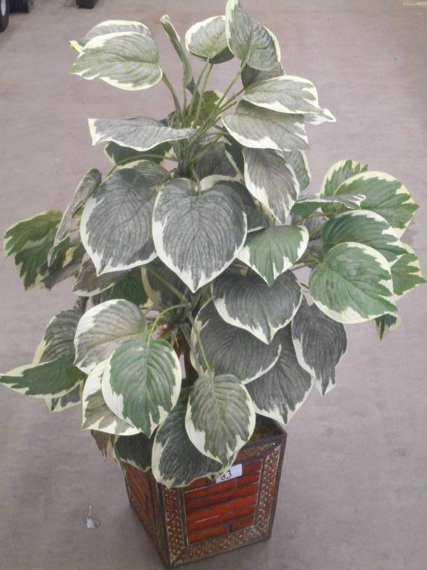 lot 83 image: 36 Artificial Tree ...