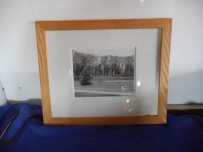 COUNTRY SCENE PICTURE