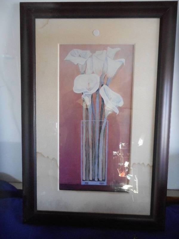 PARR WHITE WHITE ORCHID PICTURE