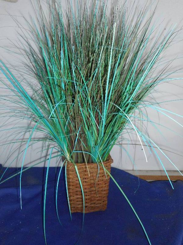POTTED DECRATIVE GRASS