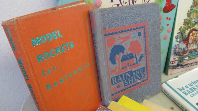 Large Lot of Vintage Childrens Books