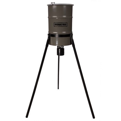 Sportsman 137