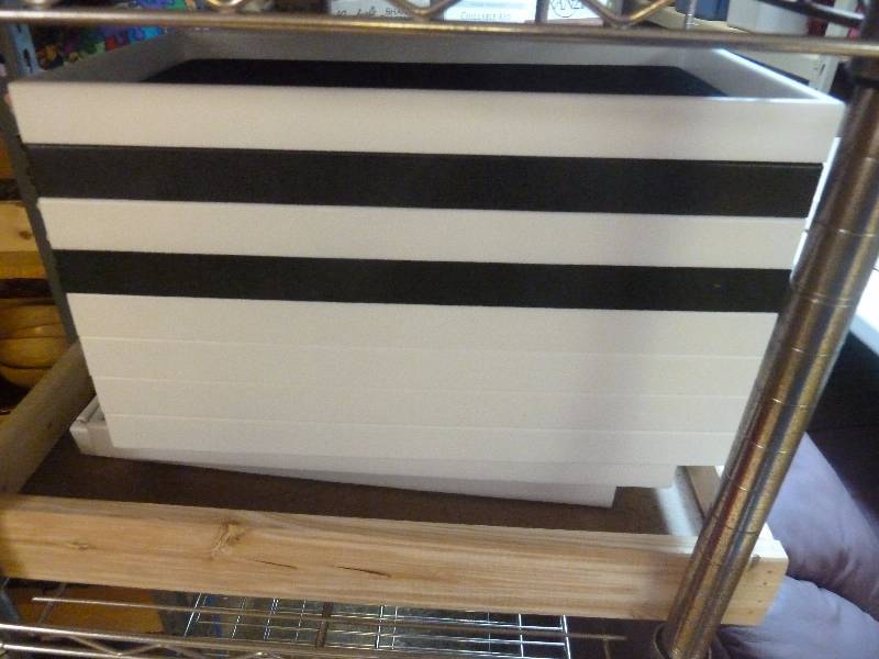 Display Trays