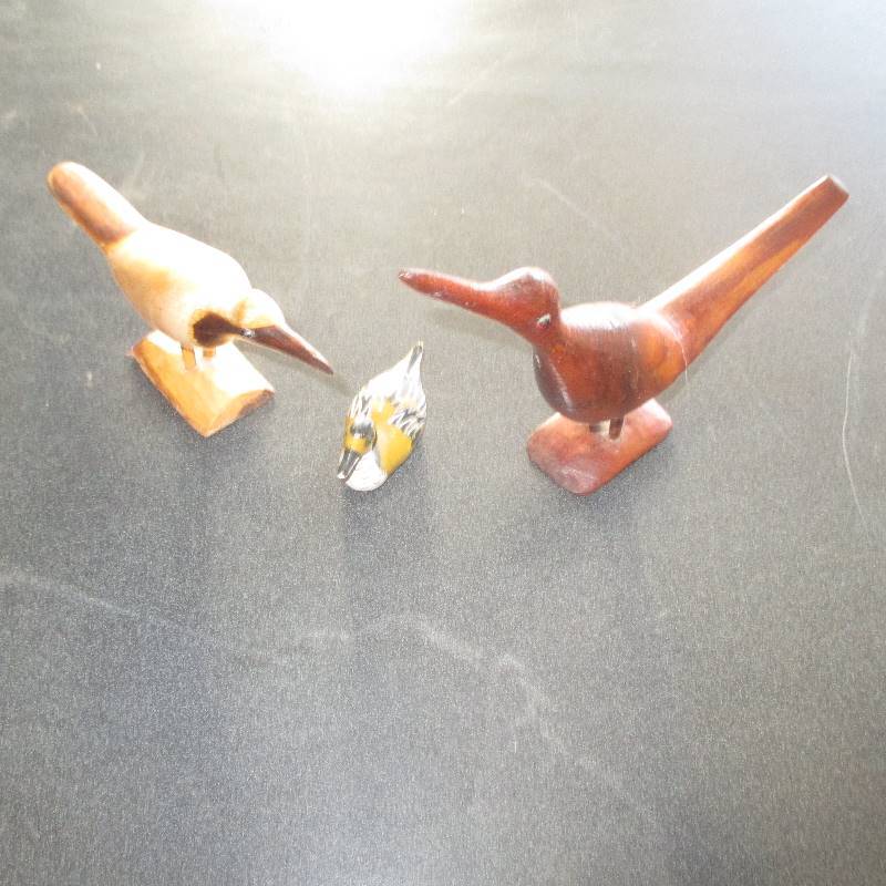 FIGURIANS