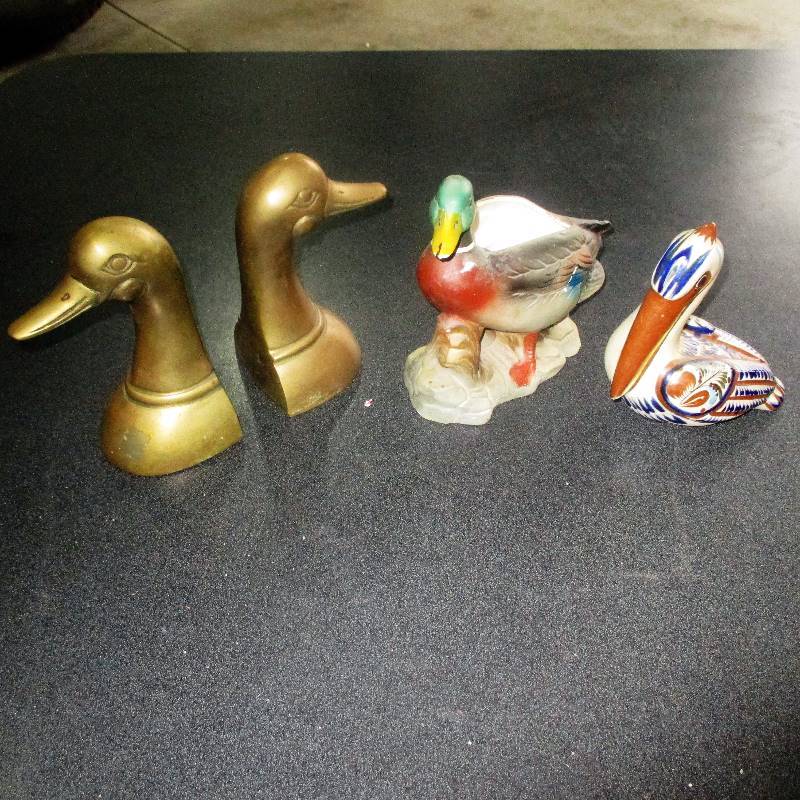DUCKS AND PELICAN