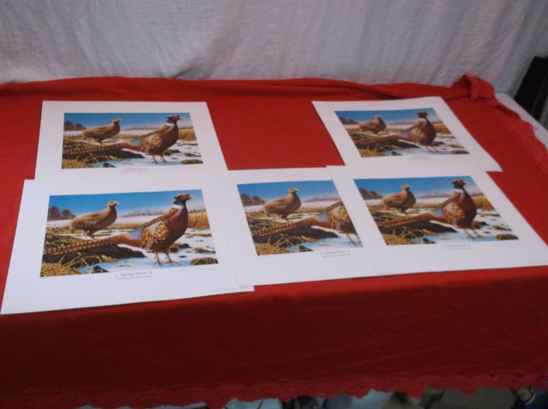 Prints