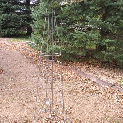 Tomato Plant Cages