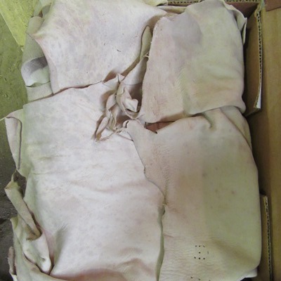 Deer Hides