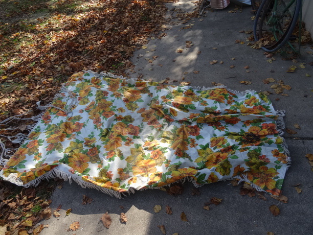 Hammock