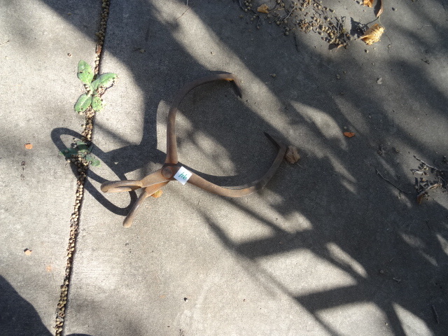 Ice Tongs