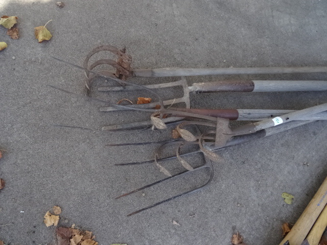 Forks & Cultivators
