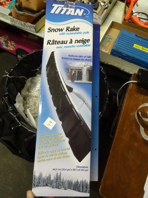 Titan Show Rake with Extendable Pole