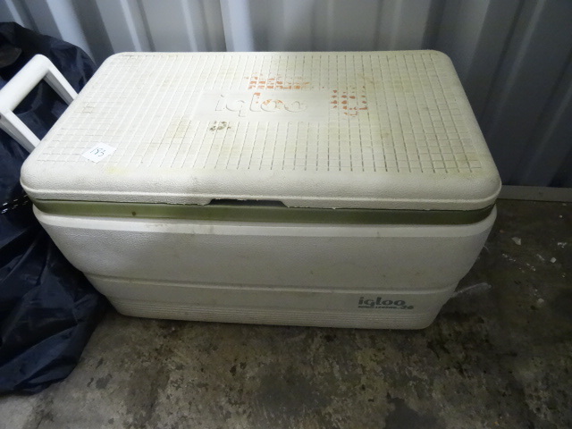 Igloo Cooler