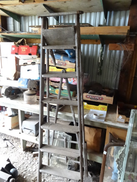 Step Ladder