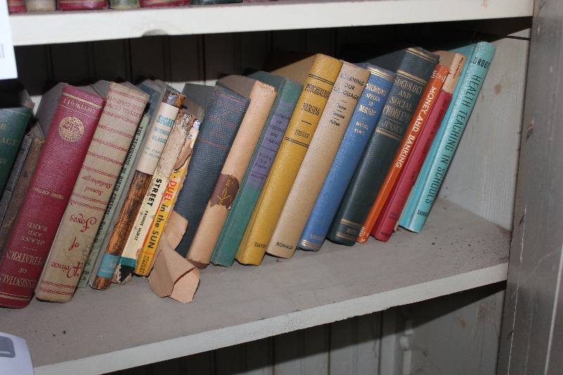 Shelf Lot of Text Books