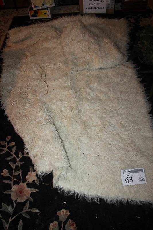 Lot of (2) Floor Area Rugs