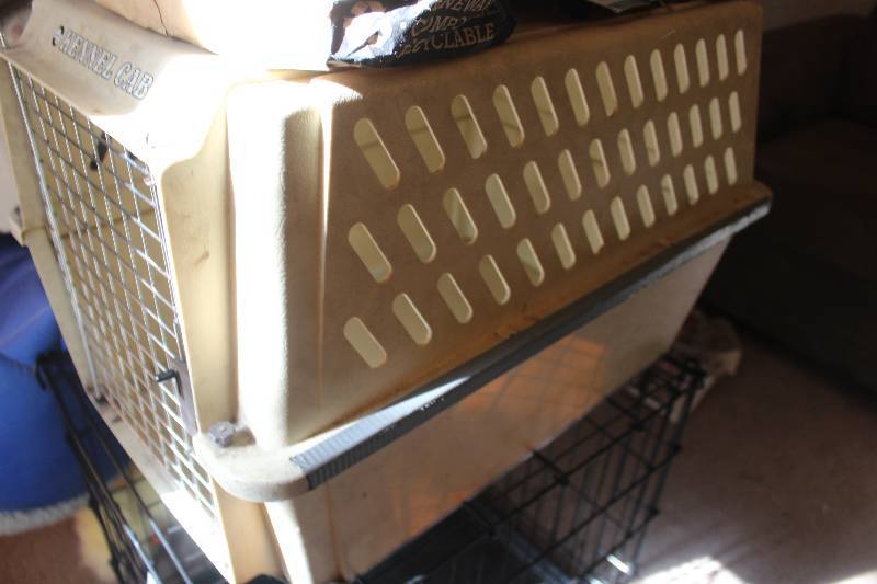 Pet Carrier