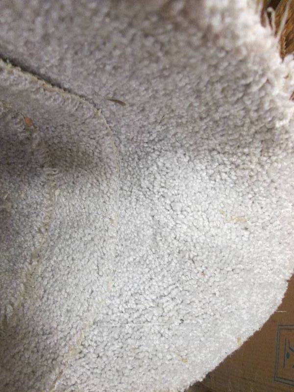 lot 77 image: New carpet roll unknown size...