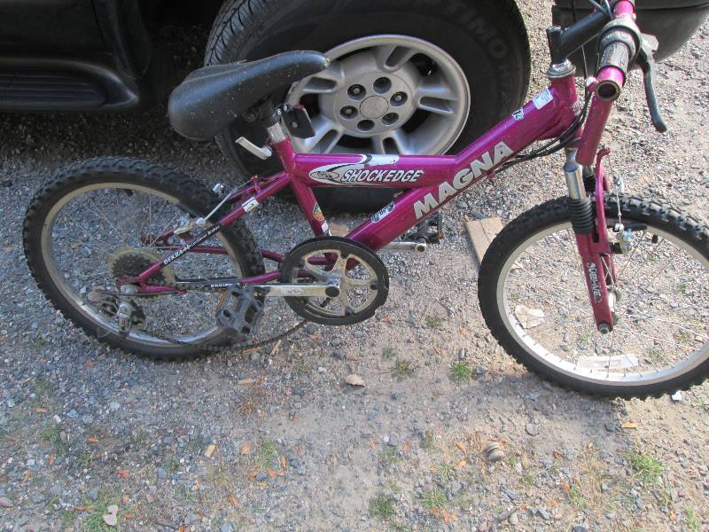 lot 136 image: Magna 20 inch kids bicycle...