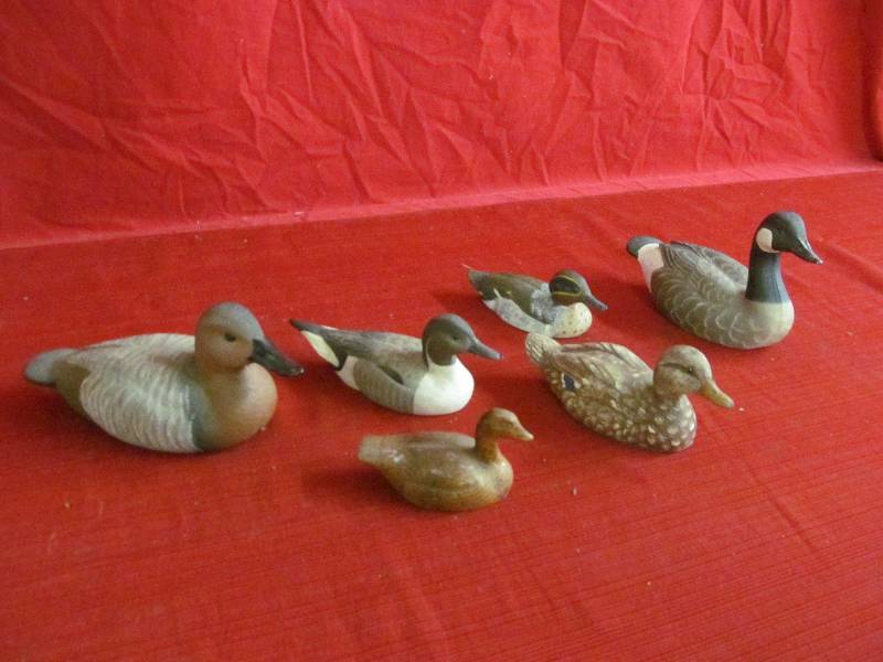 Duck Dcor
